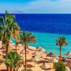 1561641260-leisure-egypt-news_item_slider-t1561641260